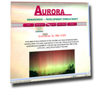 Aurora Consulting